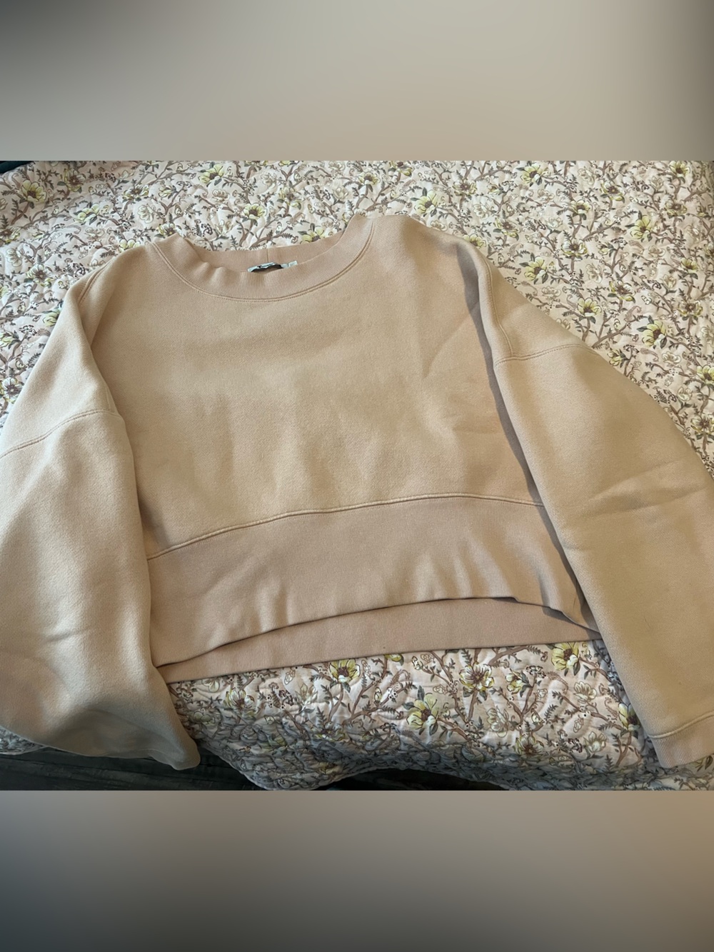 Alexander Wang Cropped Crewneck Sweater in Taupe